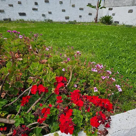 Vineyards House, Nature Praia&sunset 4* Mosteiros (Azores)