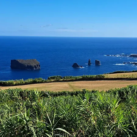 招待所 Vineyards House, Nature Praia&sunset 4*