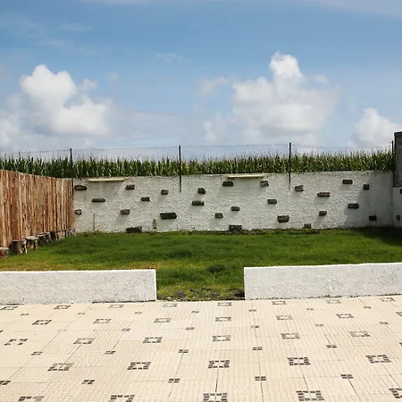 Vineyards House, Nature Praia&sunset 게스트하우스 모스테이루스